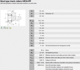 KR30-PP INA