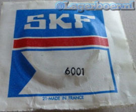 6001 SKF