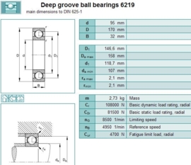 6219 SKF