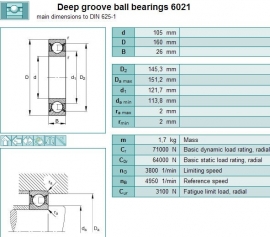 6021 SKF