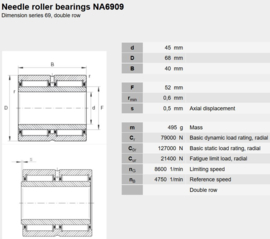 NA6909 SKF