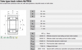 NUTR30 SKF (NUTR30-DZ)