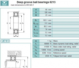 6213 SKF