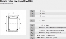RNA6906 INA