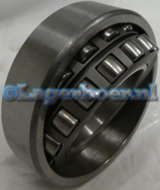 22207-CC SKF