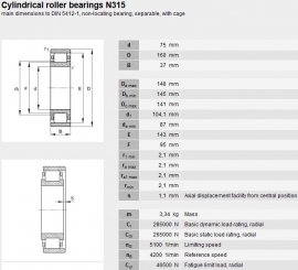 N315-ECM/C3 SKF