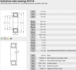 N319 SKF