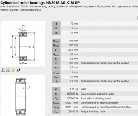 NN3015-KSP SKF