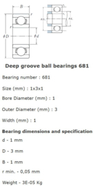 681 SKF in RVS W618/1
