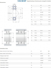 7206-BEGAP SKF