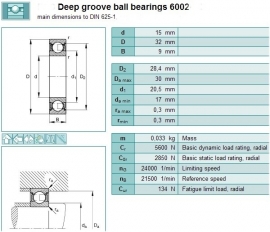 6002 FAG