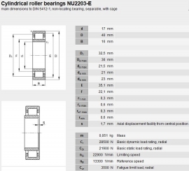 NU2203-ECP SKF