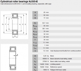 NJ305-EW/C3 NSK (HPS)