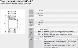 NATR8-PP Askubal