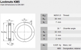 KM5 asborgmoer