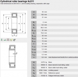 NJ211 NTN (JBS)