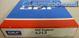 6213 SKF