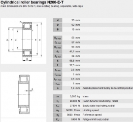 N206 SKF