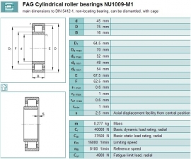 RNU1009-M FAG