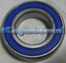 6007-2RS SS6007-2RS (RVS) HKW