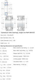 NUP309-ECJ SKF