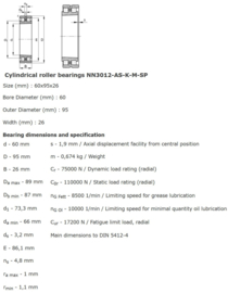 NN3012-KTN-SP SKF