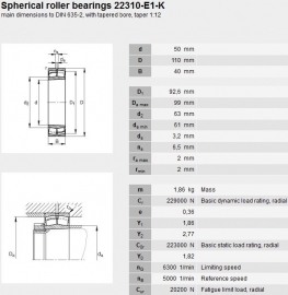 22310EK SKF