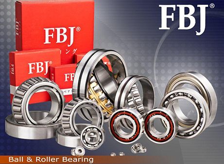 698-2RS FBJ