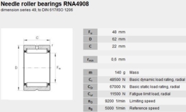 RNA4908 INA