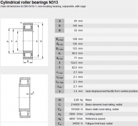 N313EM1/C3 FAG