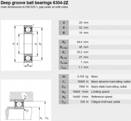 BL304-2Z NTN Full Complement