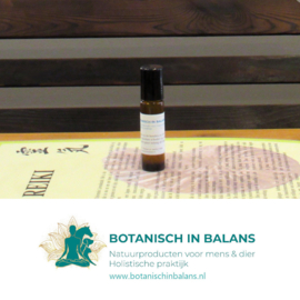 Botanisch in Balans Chakra-grounding massage olie