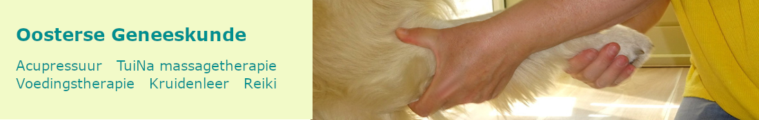 Acupressuur voor honden, Chinese voedingsleer, TuiNa massagetherapie