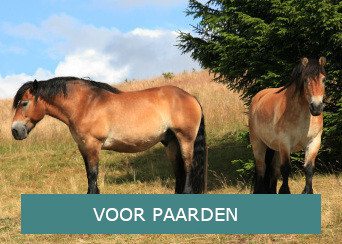 Kruidensupplementen voor paarden