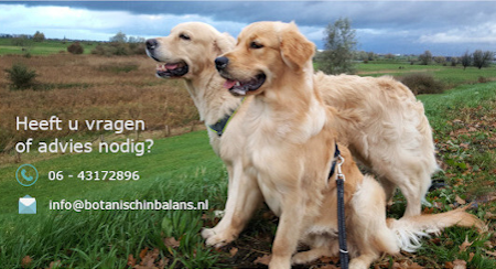 Voedingsadvies voor honden en katten, supplementadvies