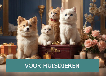 Voedingssupplementen zonder schadelijke toevoegingen voor honden en katten