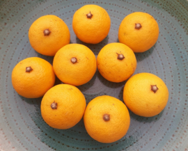 Citrus sudachi