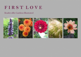 Borderpakket 'First Love'