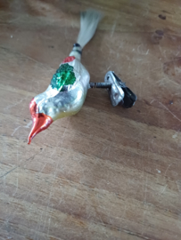 Gekleurd oud vogeltje
