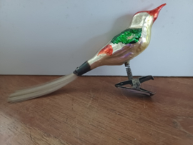 Gekleurd oud vogeltje
