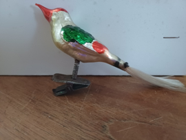 Gekleurd oud vogeltje