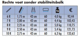 SOLIDE enkele ladder 10 sporten rechte voet