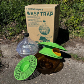 Aziatische hoornaarval groot