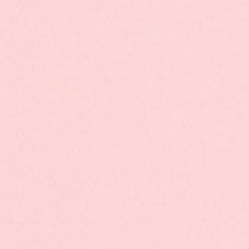 255 Pastel Pink Flexfolie 50 cm x 25 meter