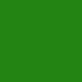 Oracal 621-064 - yellow green breedte 30,5 cm