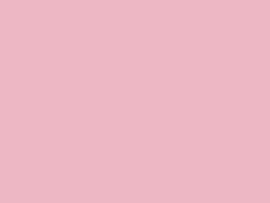 Camation Pink 631429 mat 21cm x 29 cm