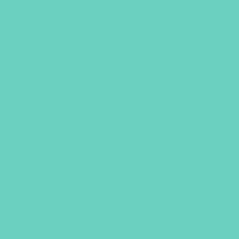 Oracal 621-055 - mint breedte 30,5 cm