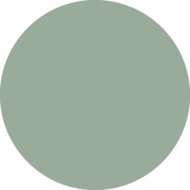 Sage Green 423 Flexfolie 50 x 100 cm