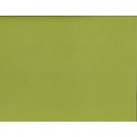 Leaf Green Adhesive Backed Cardstock 25 Pack