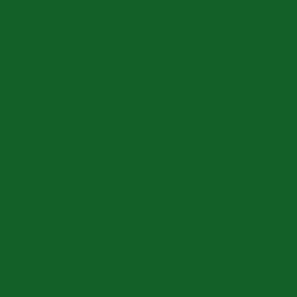Oracal 621-062 - light green breedte 30,5 cm